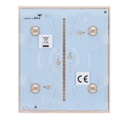 CENTERBUTTON-1G2W-IVO