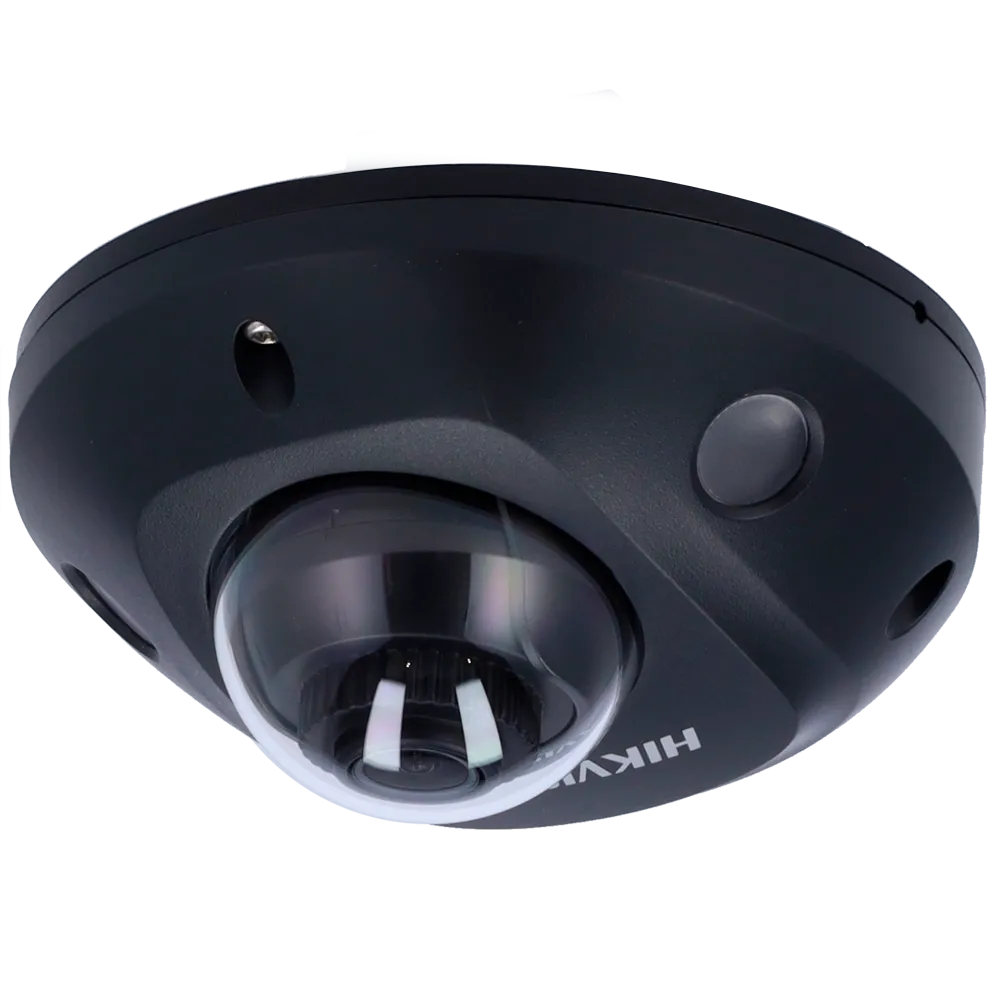 DS-2CD2543G2-IS(2.8mm)(BLACK)