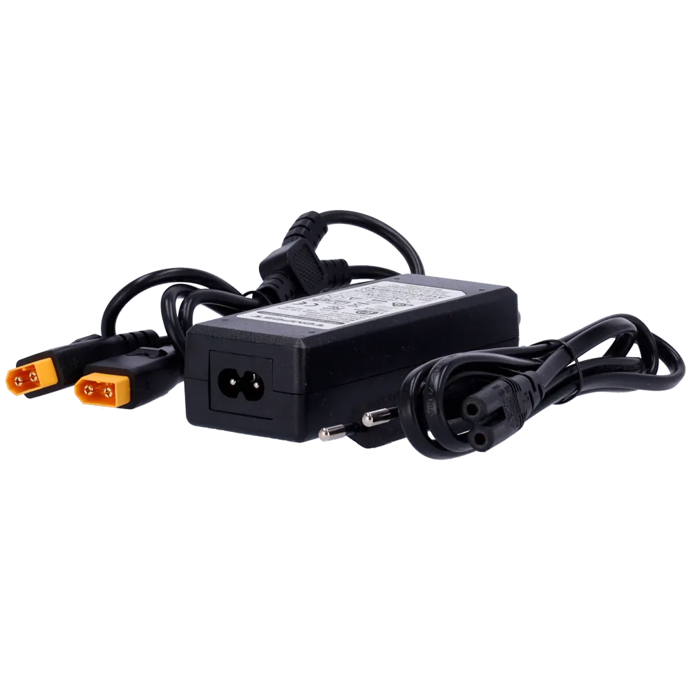 FPUBEFC -Chargeur rapide pour batteries TEMPEST-BAT300 URFOG