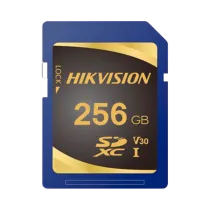 HS-SD-P10STD-256G