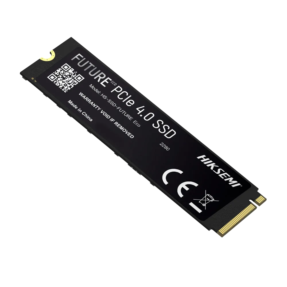 HS-SSD-FUTURE-2048G